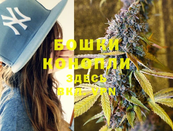 apvp Белокуриха