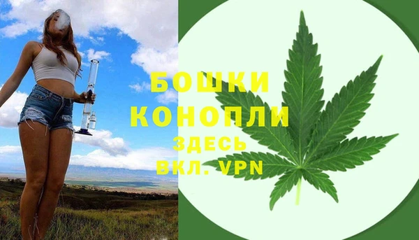 молекула духа Богородицк