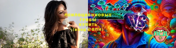 apvp Белокуриха