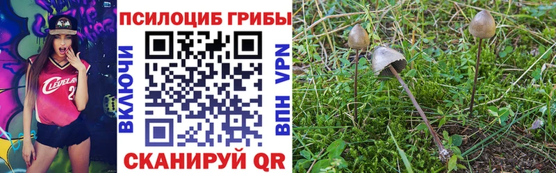 закладка  Нахабино  Псилоцибиновые грибы GOLDEN TEACHER 